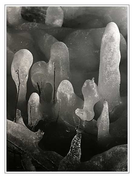 icicle