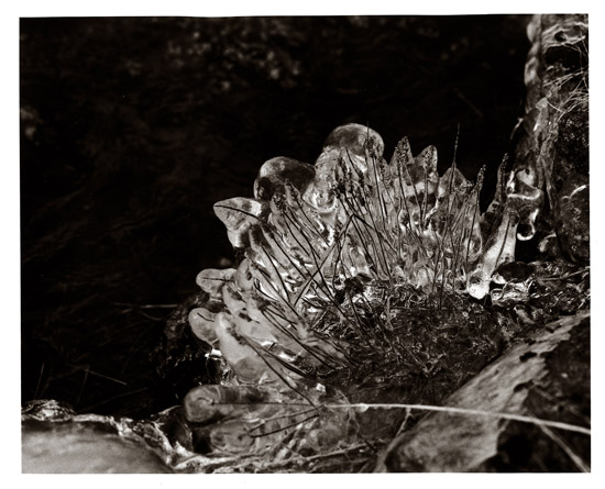 Icicles