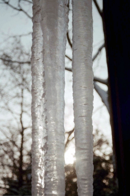 Icicles