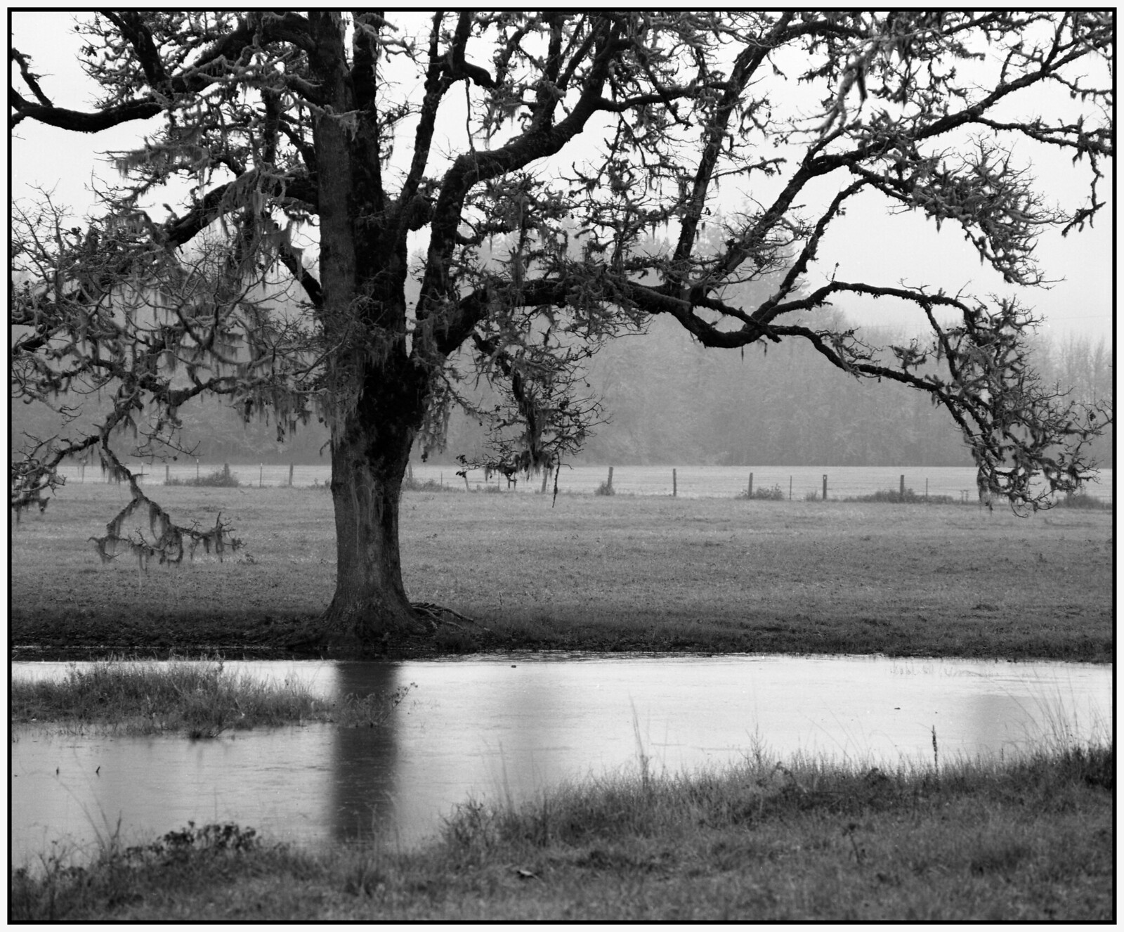 Icy Pond this Morning...