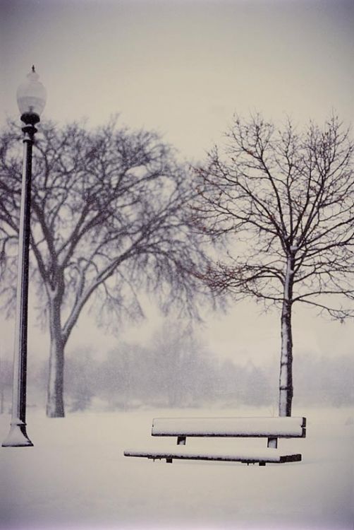 If Silence Can Speak