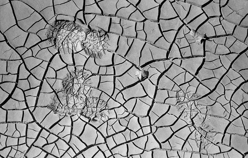 if the shoe fits ...