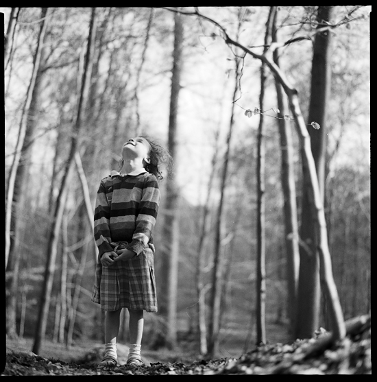 If You Go Down To The Woods Today *