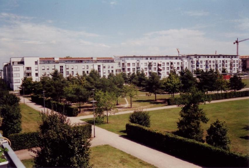 Ignore This. Just An Example For A Shot From A Yashica 35cc
