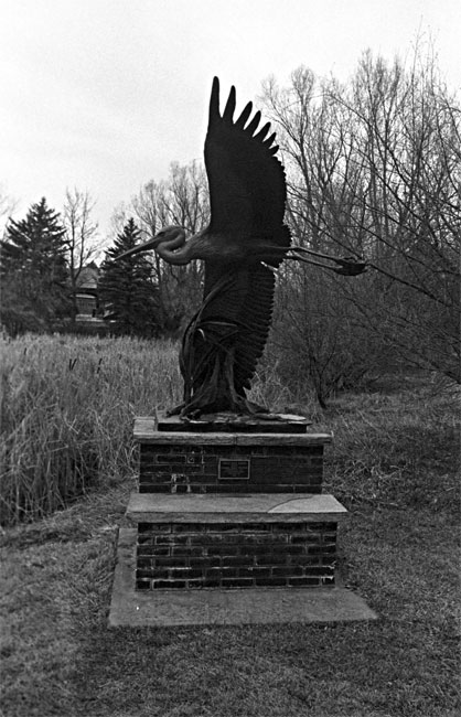 Image16