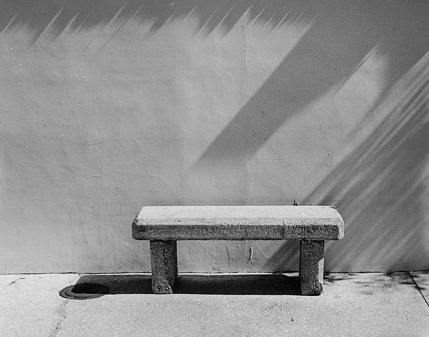 Images from Florida