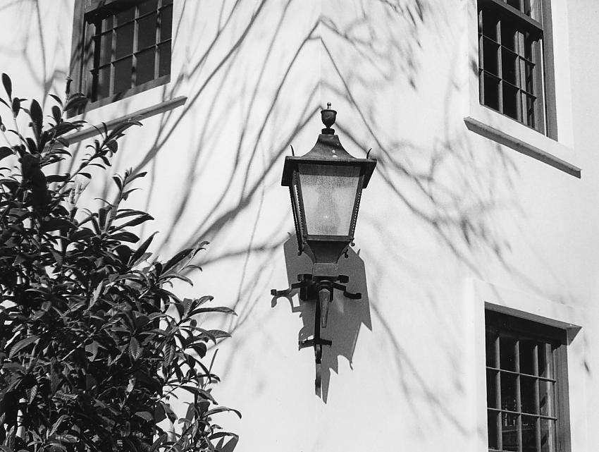Images from Florida