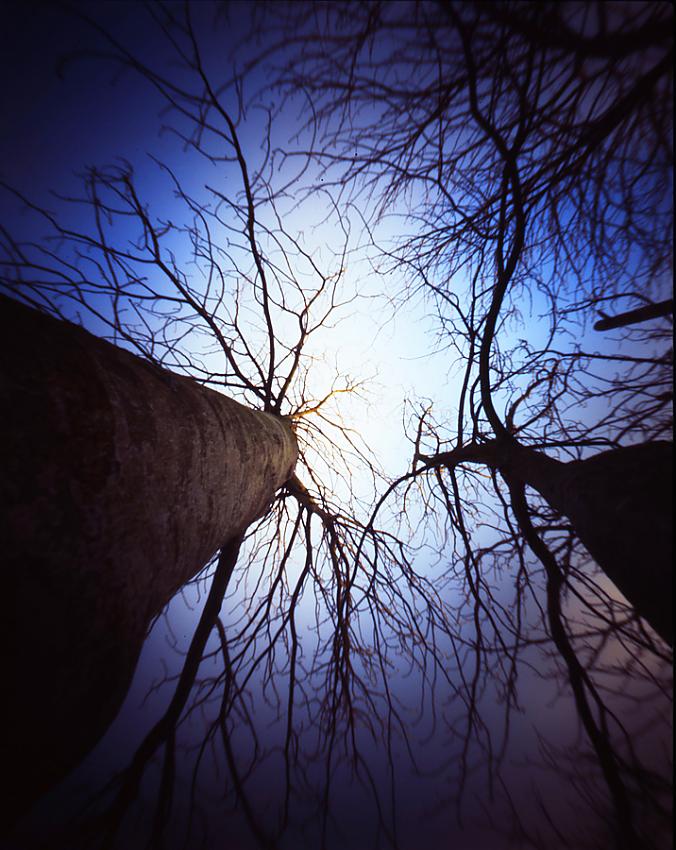 Images from medium format pinhole cam