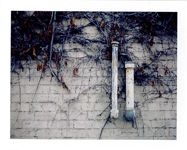 img001cweb