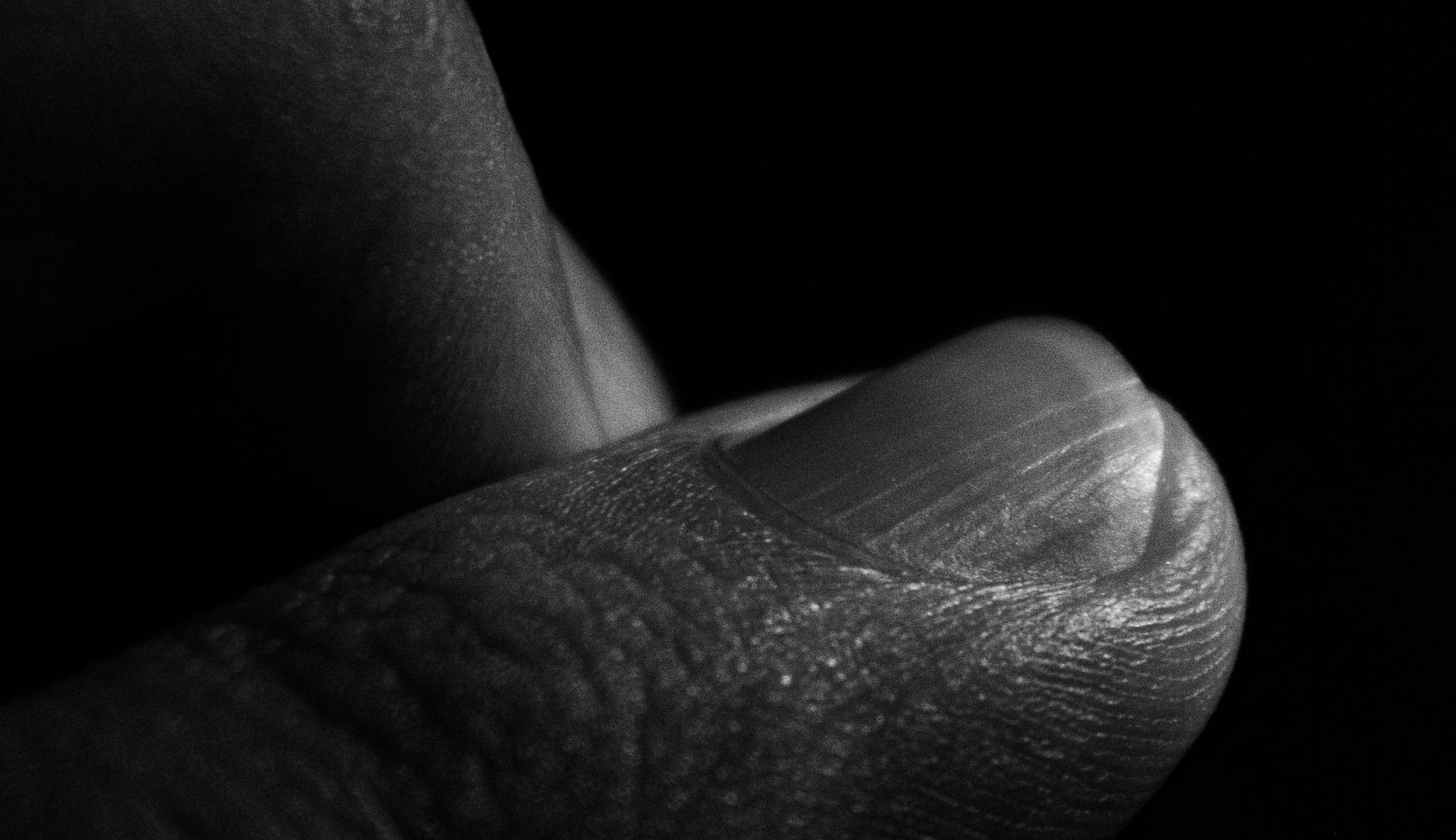 IMG_4964
