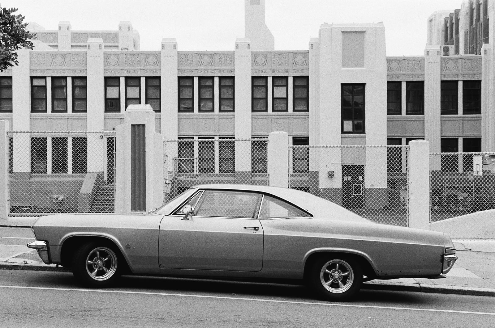 Impala
