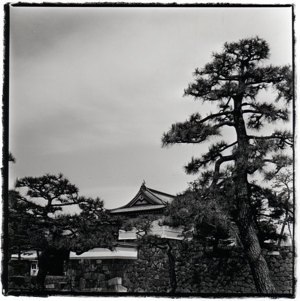 Imperial Palace, Tokyo (2)