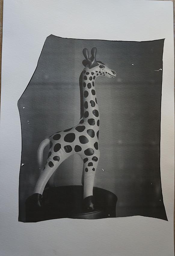 Impossible Giraffe