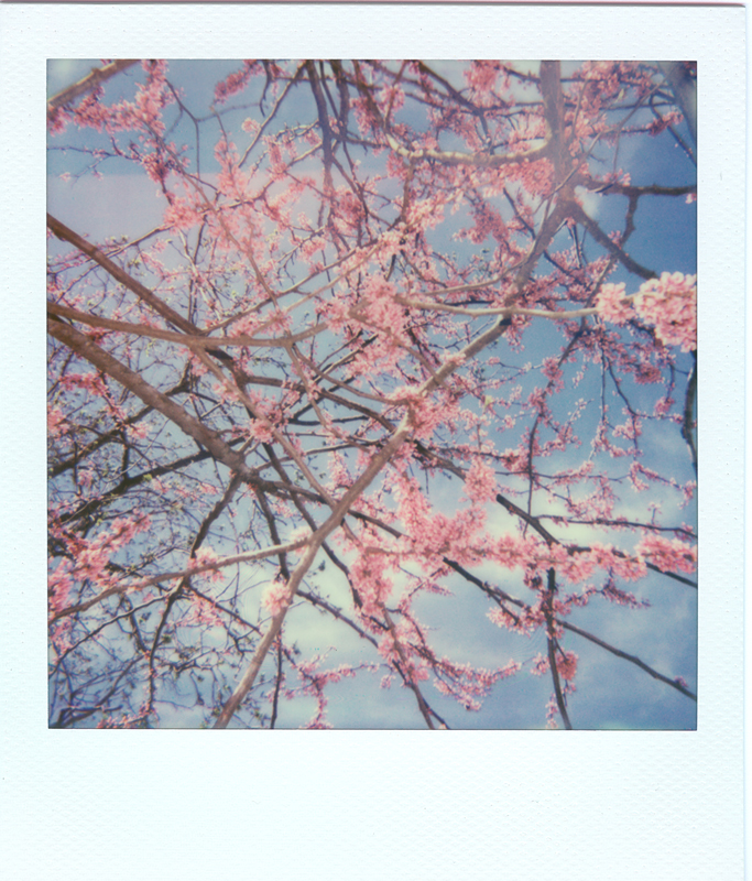 Impossible - Instant Spring no. 2