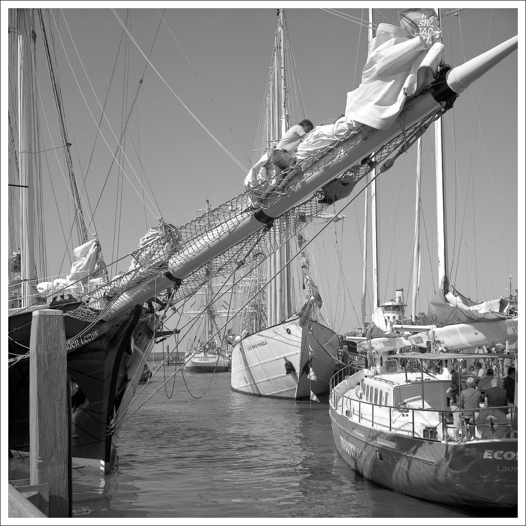 Impression from the Tall Ship's Race 2018