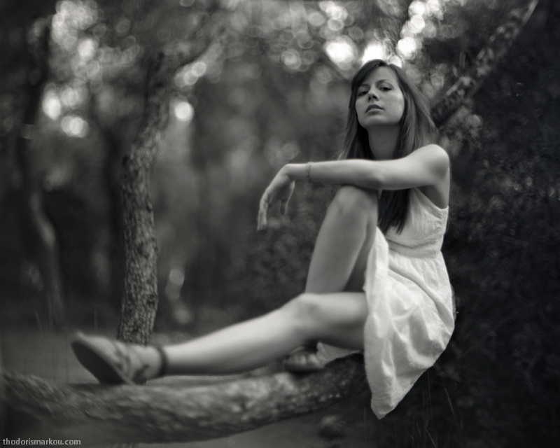 in a forest pt. II