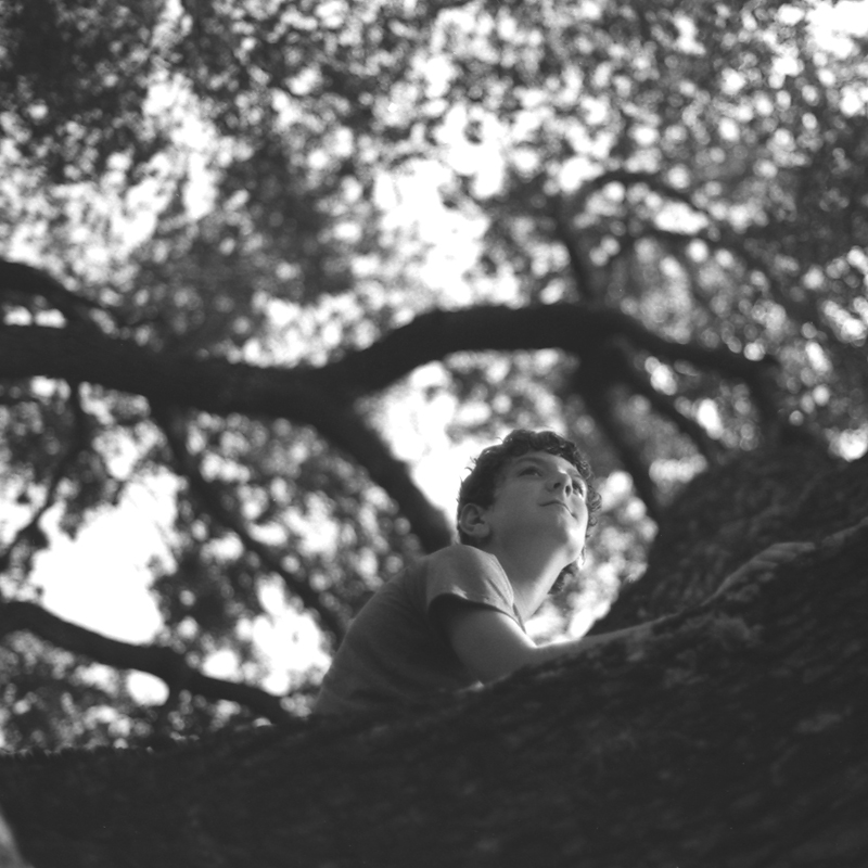 In a tree