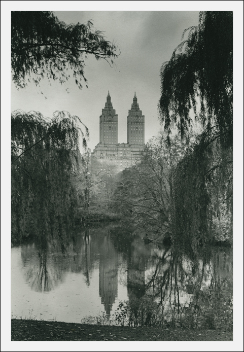 In Central Park