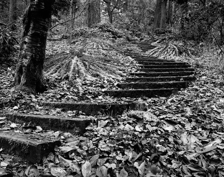 In contrast to the rule