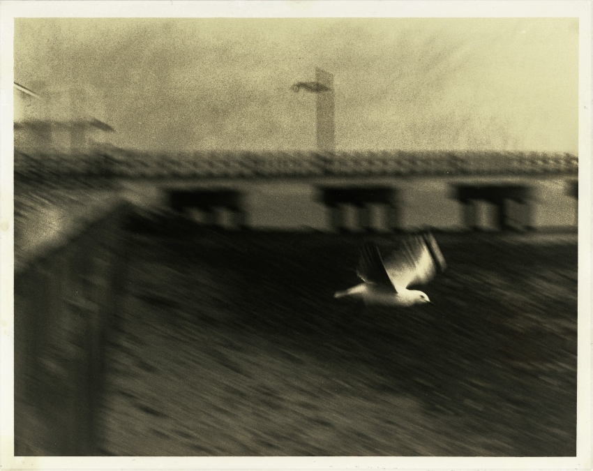 In Motion
