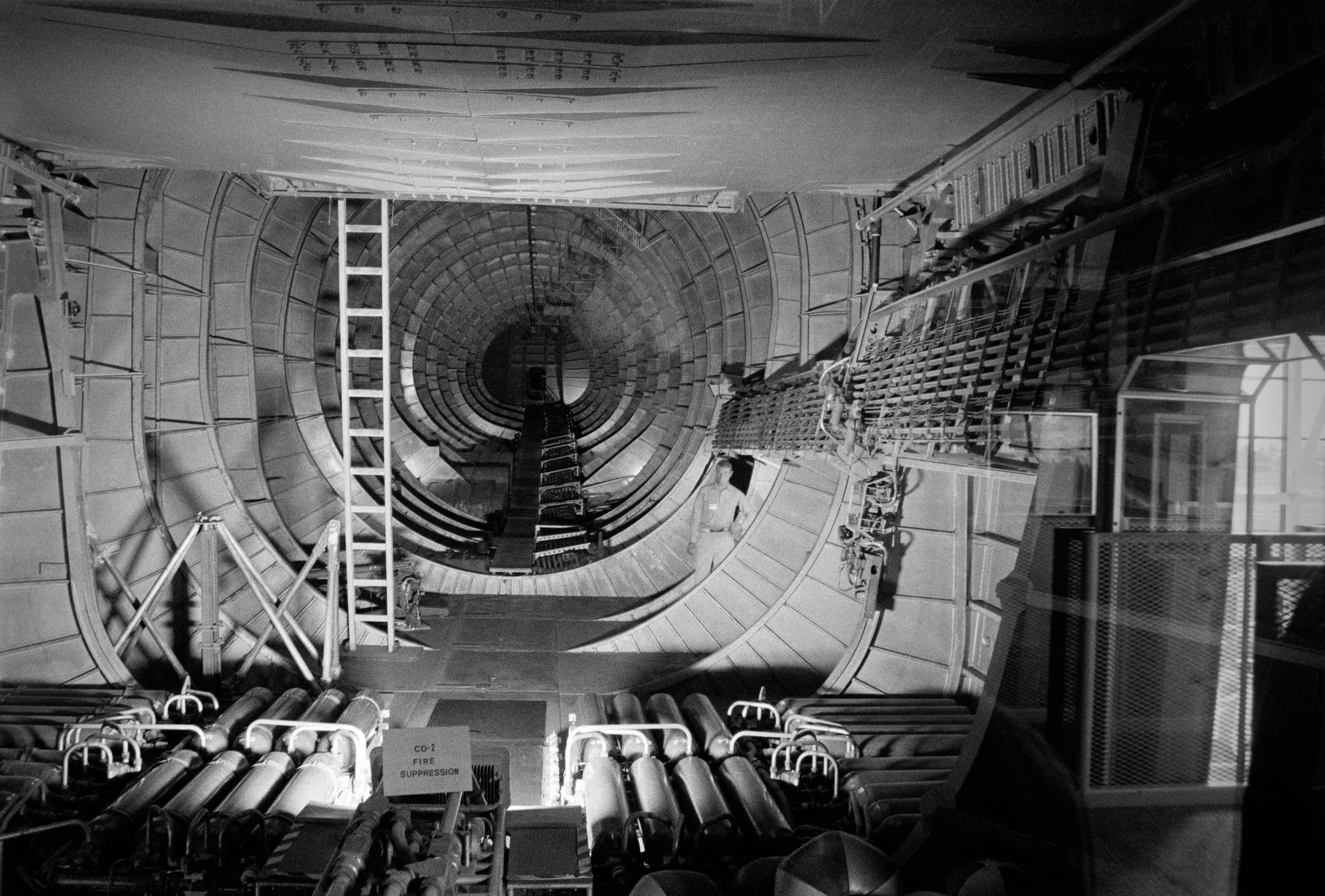 In the Belly of the Goose