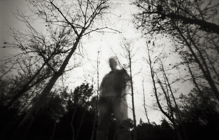 In the Company of Trees