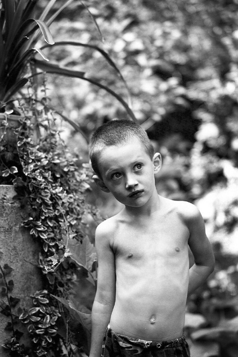 in the garden
