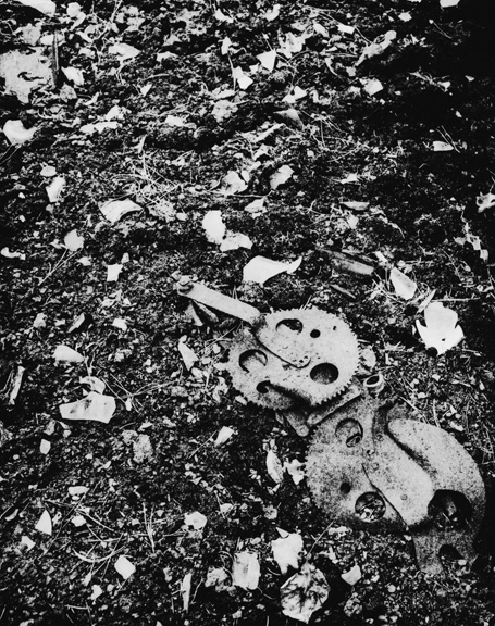 In The Mine Debris, Holden Village