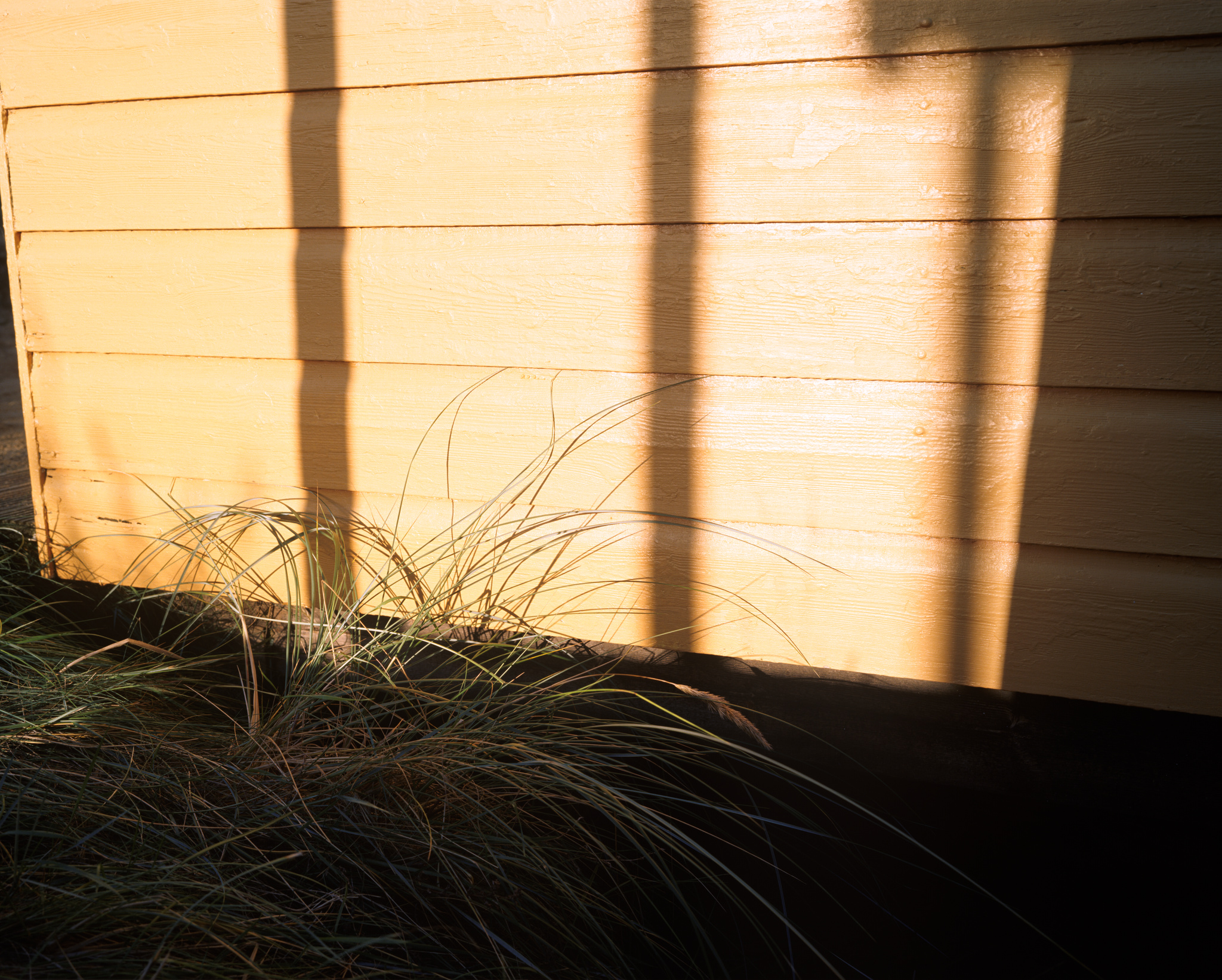 In the shadows of beach huts