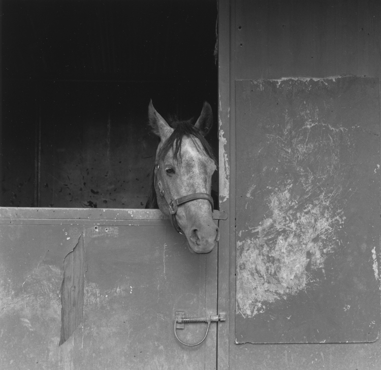 In the Shipping Stall