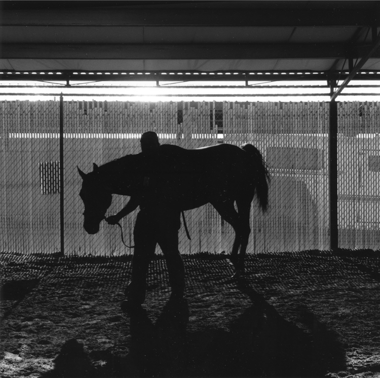 In the Test Barn