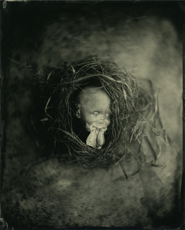 Incubated 2