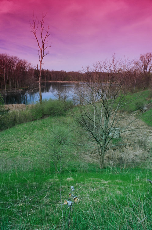 Independence Village Pond