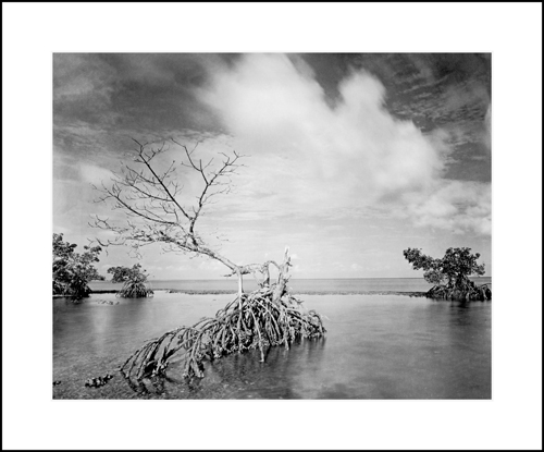 Indian Key, 2007