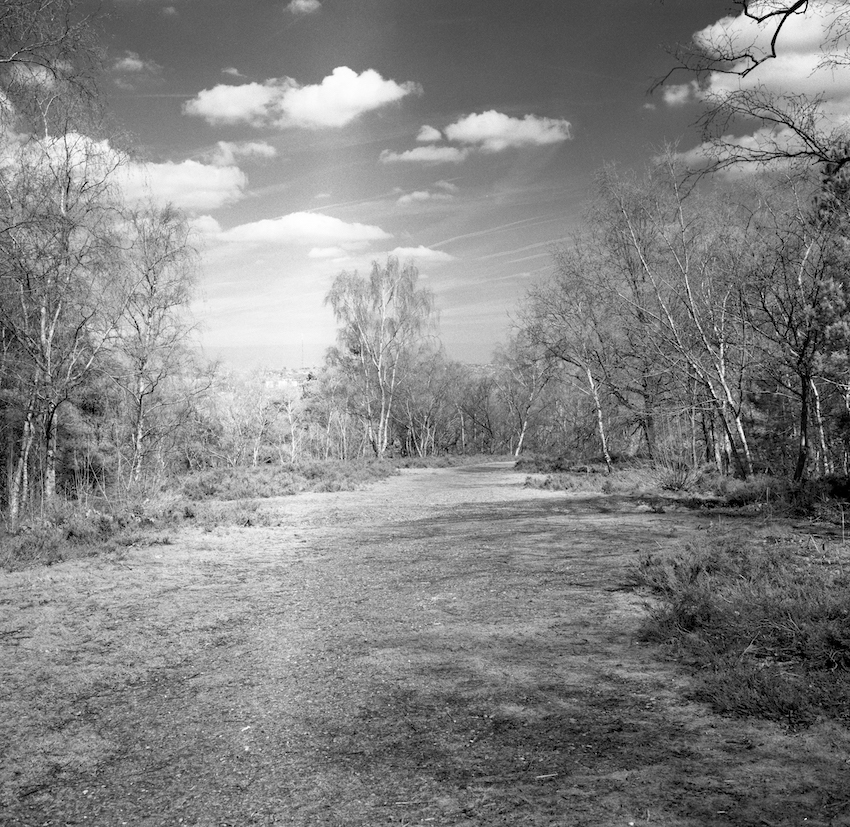 Infrared #6 (bizarre)