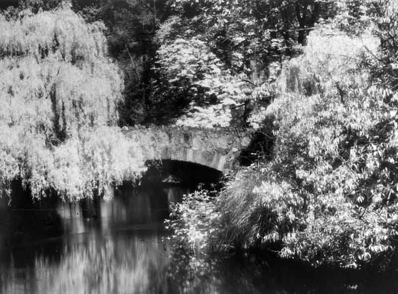 Infrared Bridge