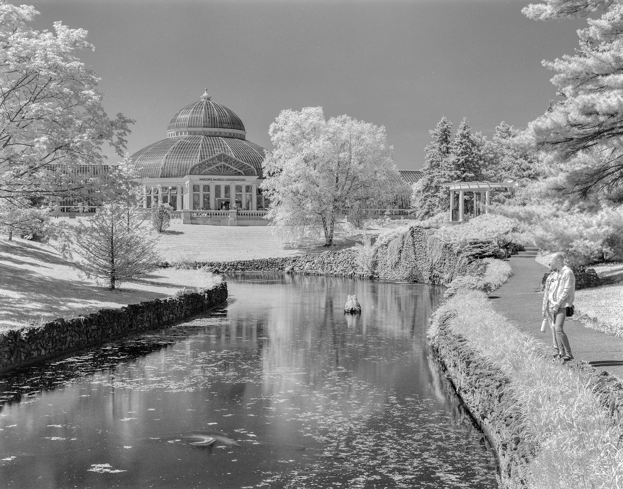 Infrared Conservatory
