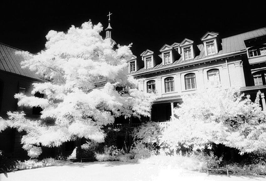 Infrared Image