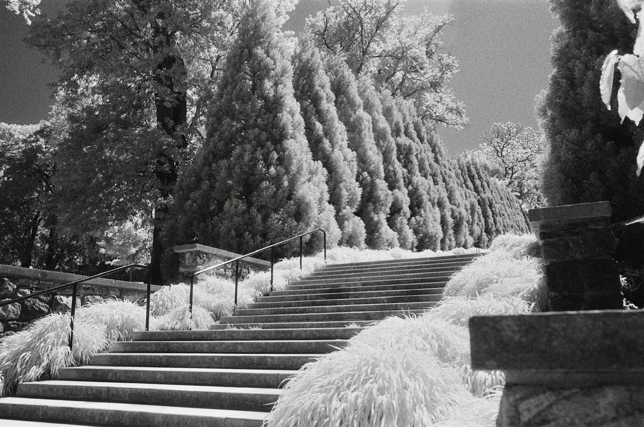 Infrared in Untermeyer Gardens