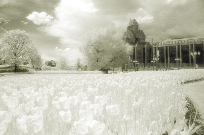Infrared Museum