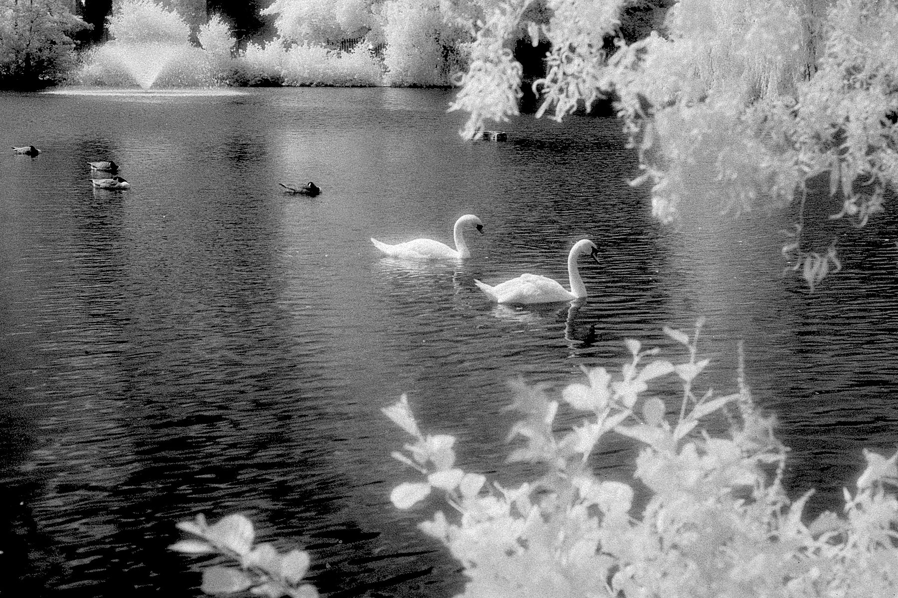 InfraRed Test 01