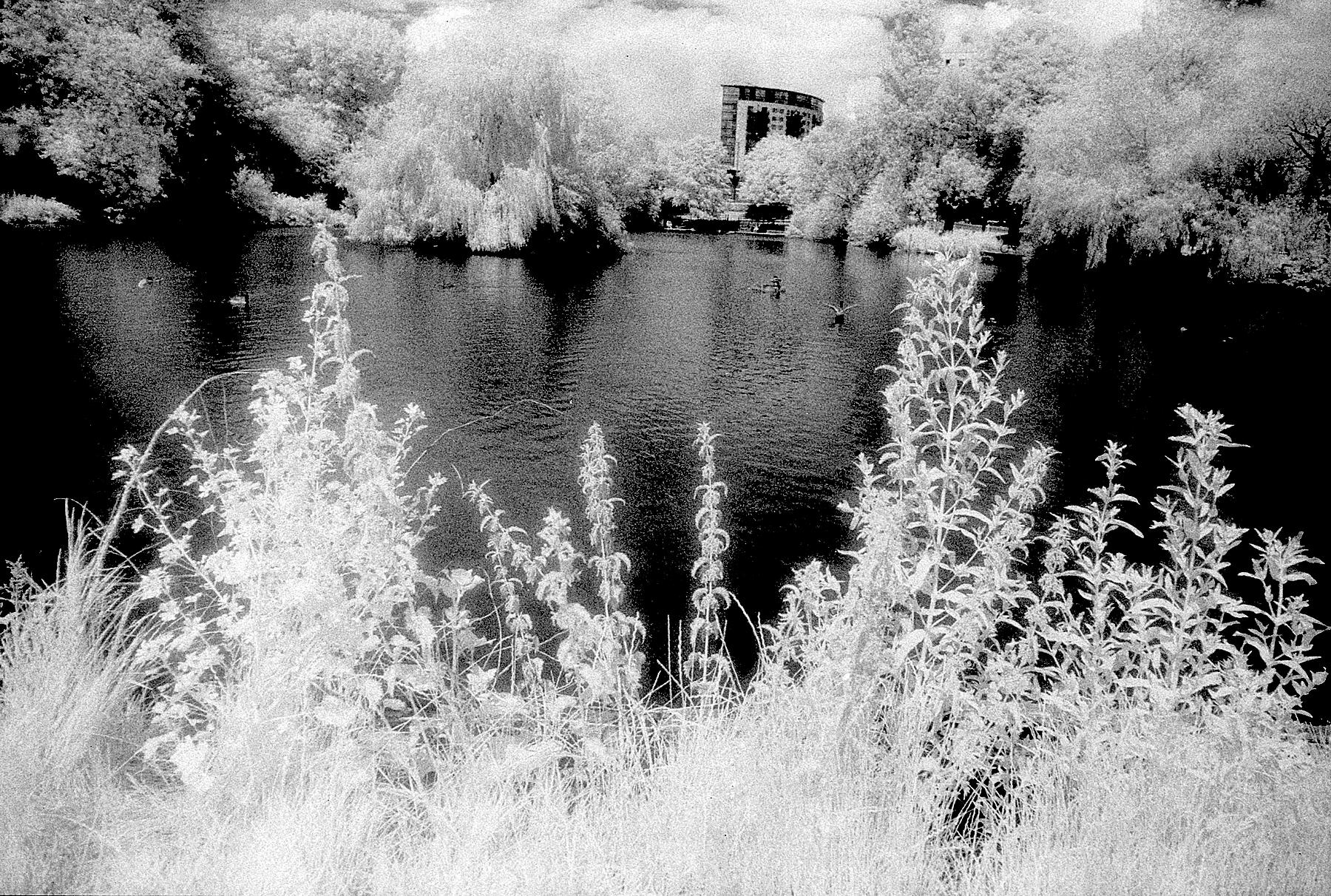 InfraRed Test 02