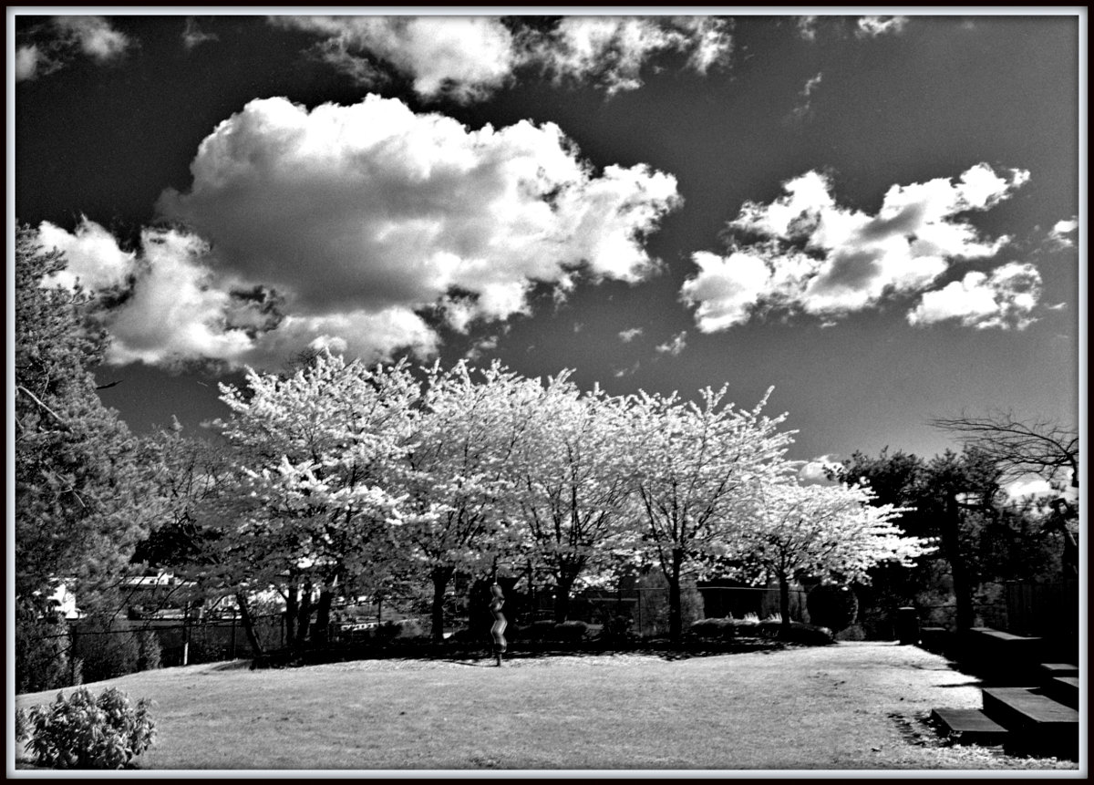 Infrared