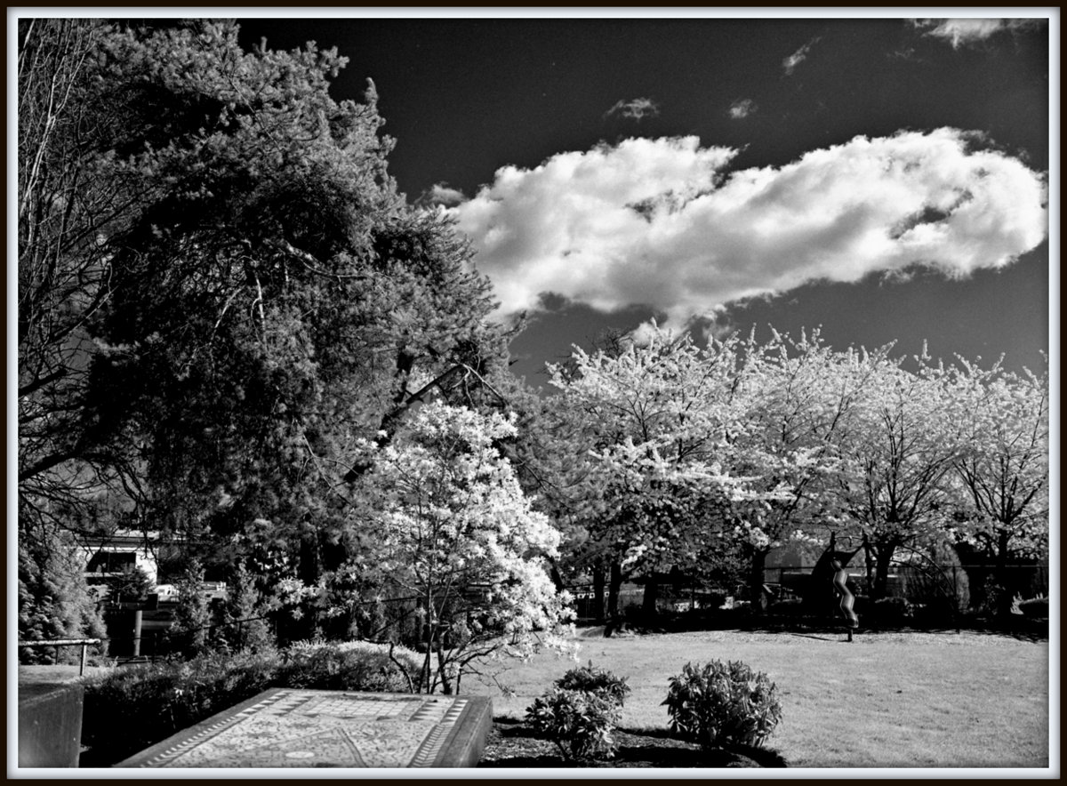 Infrared