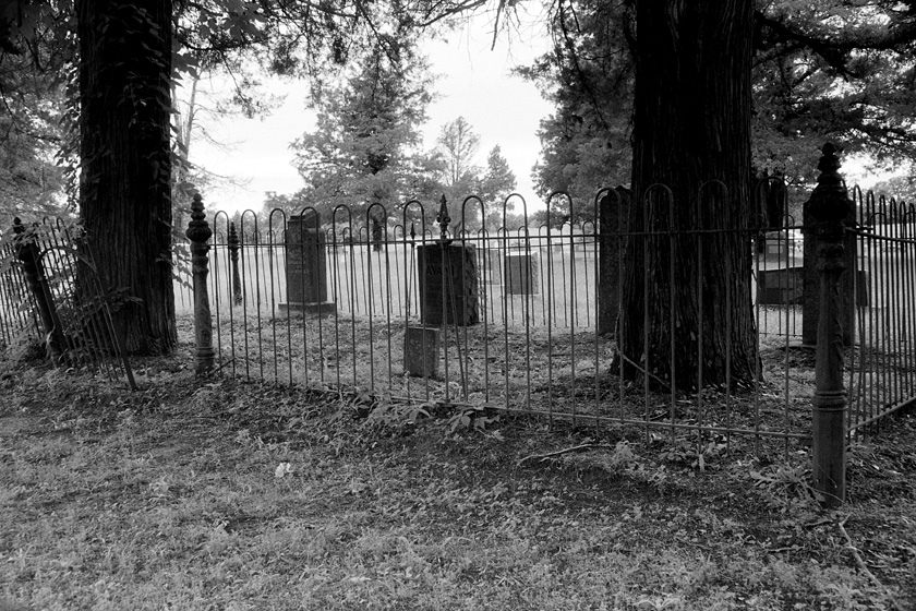 Inside the fence