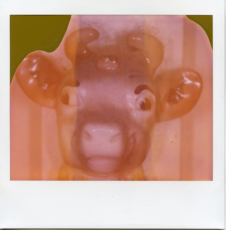 Instant Silliness #1