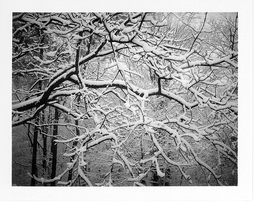 Instant - Snow no. 1