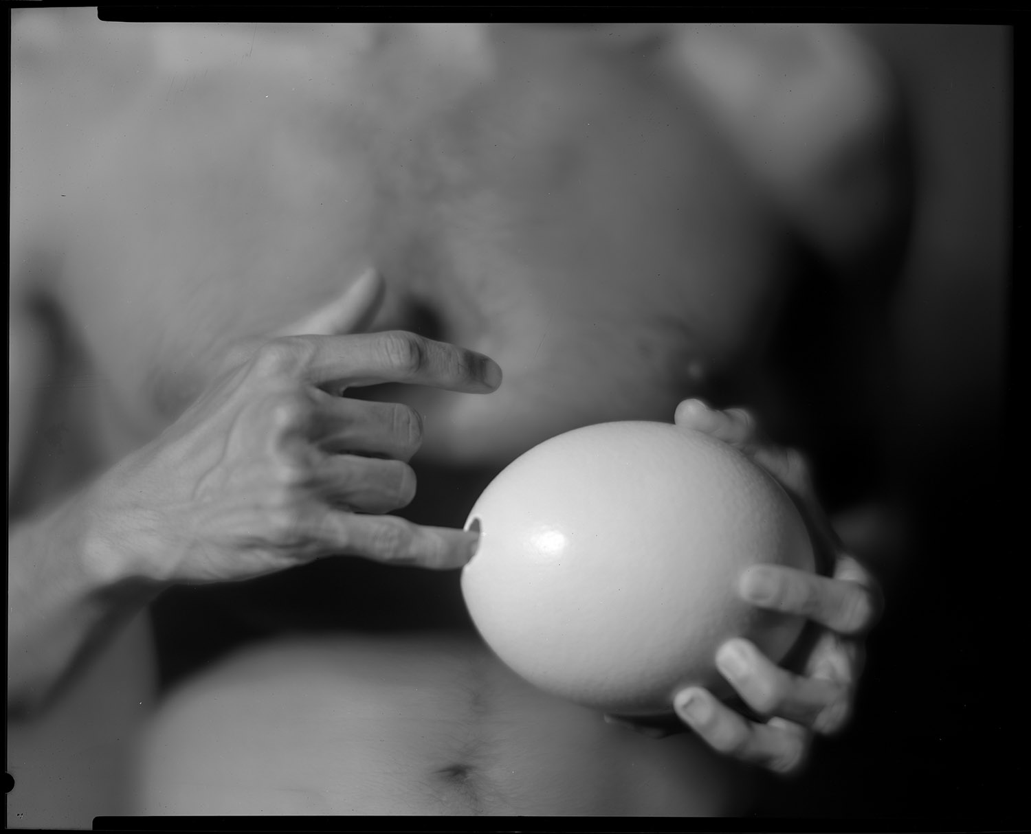 Intimate Egg