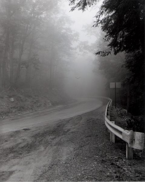 into the mystic