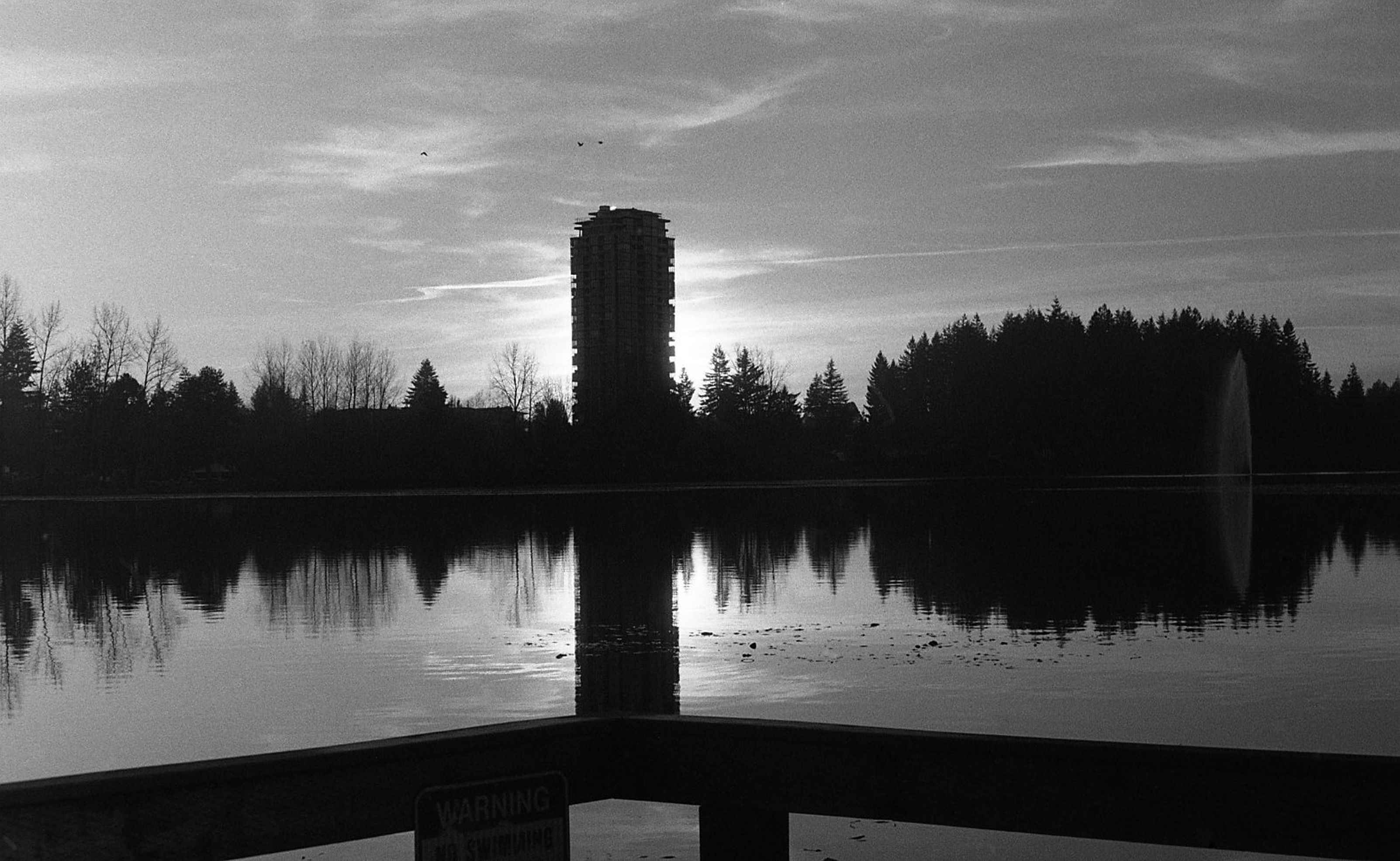 Into the Shadow Hours